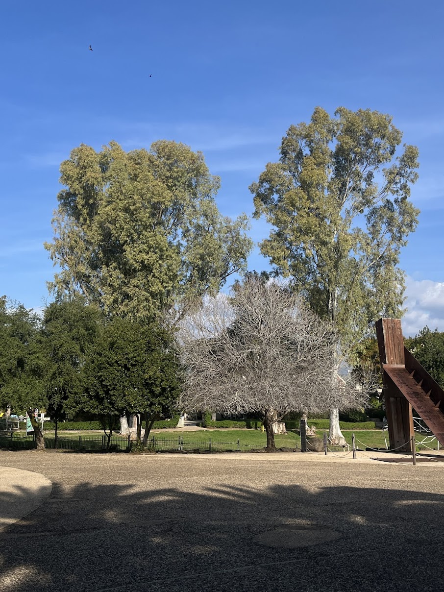 Reseña de Ines 3