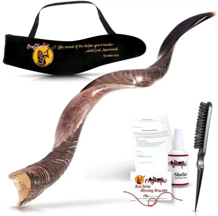 Shofar Kudu Yemeni con sus accesorios